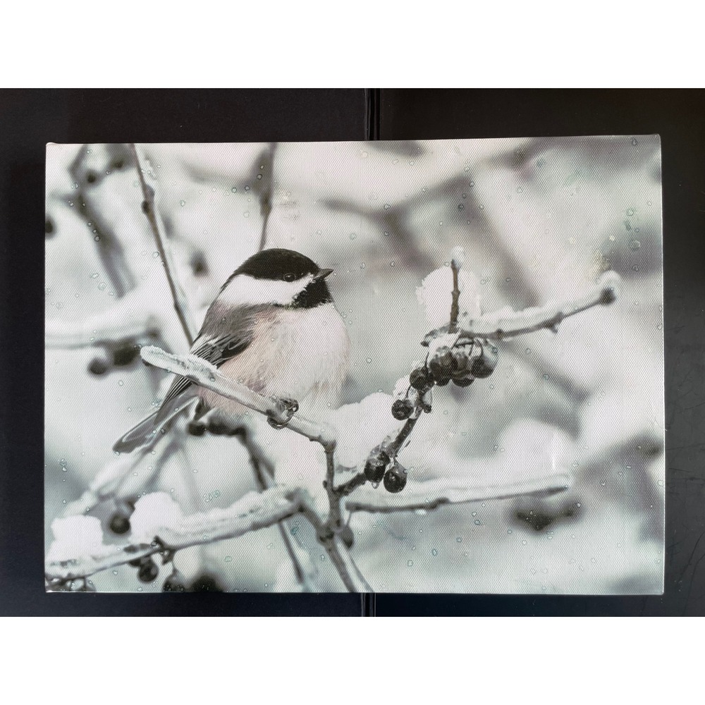 Chickadee Light Up Winter Canvas Wall Art Timer Holiday Christmas